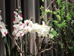 -La Maison 夜来香(进贤路店)
