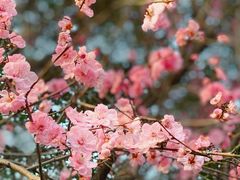 -重庆彩云湖湿地公园