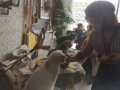 -平行世界·猫咖(首经贸店)