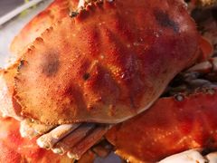 -漳州佰翔圆山酒店·圆山畔西餐厅