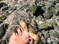 -银沙滩浴场