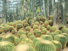 -南山植物园