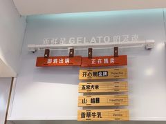 -野人先生现做冰淇淋(西安赛格店)