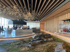 -Seesaw Coffee(朝阳大悦城店)