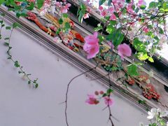 -深圳国际园林花卉博览园