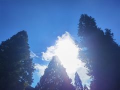 -武陵山森林公园