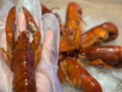 -红盔甲·小龙虾(定西路店)