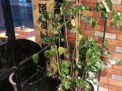 -嘎嘎鸭脑壳(驷马桥店)