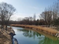 -大兴滨河森林公园