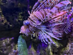 -太平洋海底世界