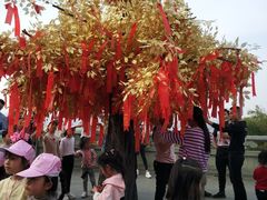 -南京市江宁方山