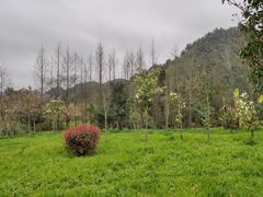 -贵阳市花溪国家城市湿地公园