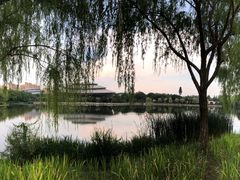 -杭州城北体育公园