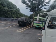 -栾川竹海野生动物园