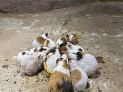 -苏州海洋馆