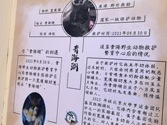 -青藏高原野生动物园