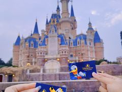 -上海迪士尼度假区