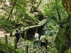 -牛背梁国家森林公园