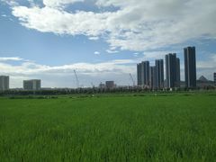 -光明小镇欢乐田园
