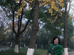 -金陵图书馆