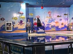 -太平洋海底世界