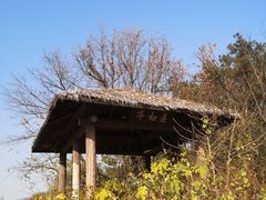 -宝界山林公园