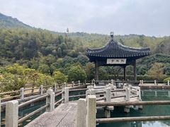 -穹窿山景区
