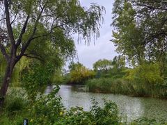 -溱湖国家湿地公园