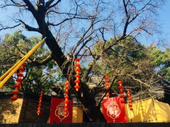 -无锡惠山寺