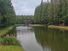 -黄海国家森林公园