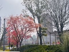 -北外滩滨江绿地