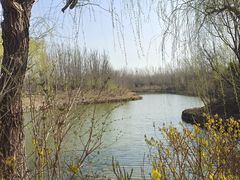 -塘沽森林公园