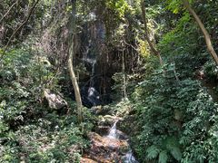 -南丹山森林王国