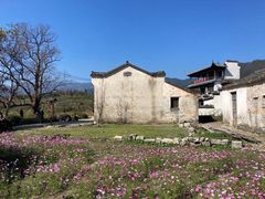 -塔川景区