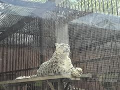 -青藏高原野生动物园
