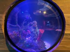 -沈阳海洋探索中心