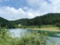 -武陵山森林公园