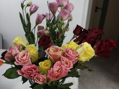 -DQ·蛋糕·冰淇淋(大宁国际商业广场店)