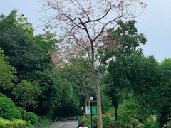 -云溪植物园