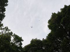 -沙湾姜埋奶(兴新包店)