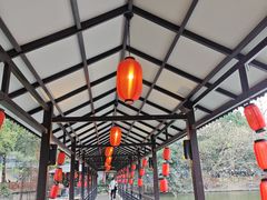 -侨美·唐荔园·40年地道粤菜