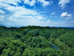 -沐川竹海旅游景区