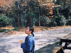 -紫金山山顶公园