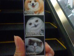 店内环境-凯德广场(学府店)