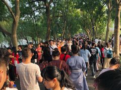 -苏堤停车场