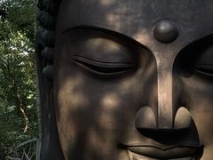 -杭州植物园