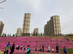 -龙洞风景区-藏龙涧