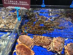 水产区-船歌·鱼水饺青岛菜(闽江二路店)