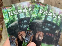 -深圳野生动物园