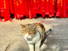 -宝通禅寺